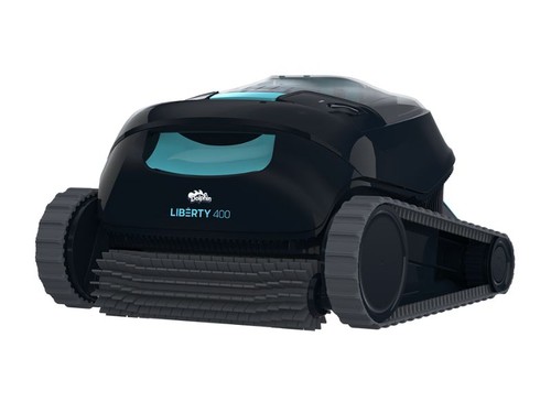 Dolphin liberty 400 - dolphin,